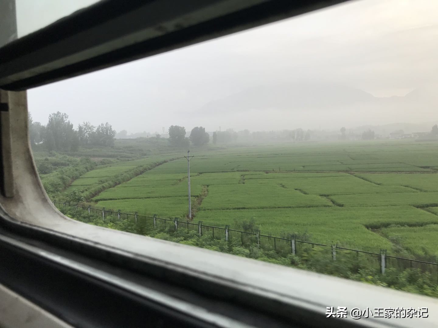 大山里，有一趟可以赶集的绿皮车|8361次汉中—阳平关