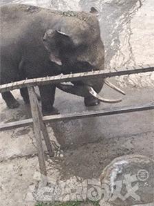 爆笑GIF趣图:美女,这射的是丘比特之箭吧