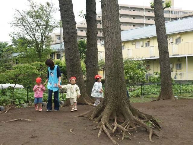 让人震撼的日本教育,日本3-4岁儿童思维训练