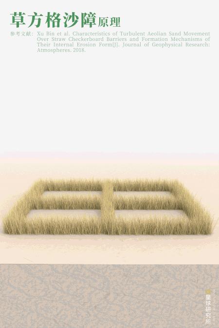 中国植树造林成果国外有什么看法,植树造林改造沙漠