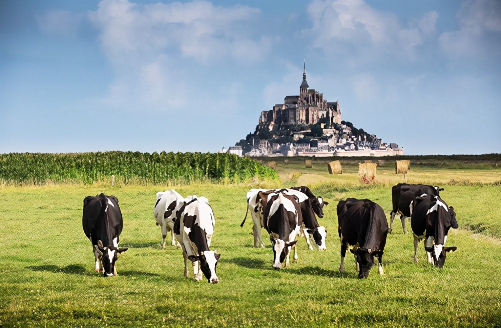 法国百年牛奶品牌“诺芒底1905”登陆中国