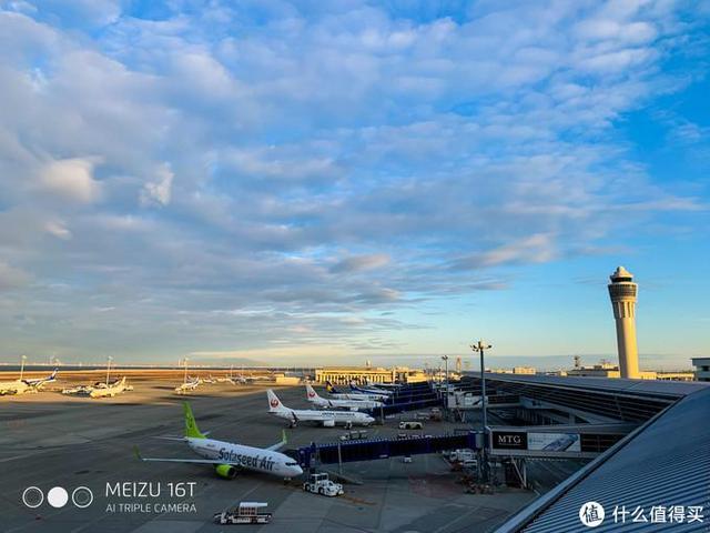 日本pitta口罩,日本买口罩用什么软件