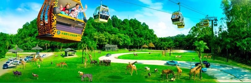 树屋童话动画片看后感,树屋童话故事动画片