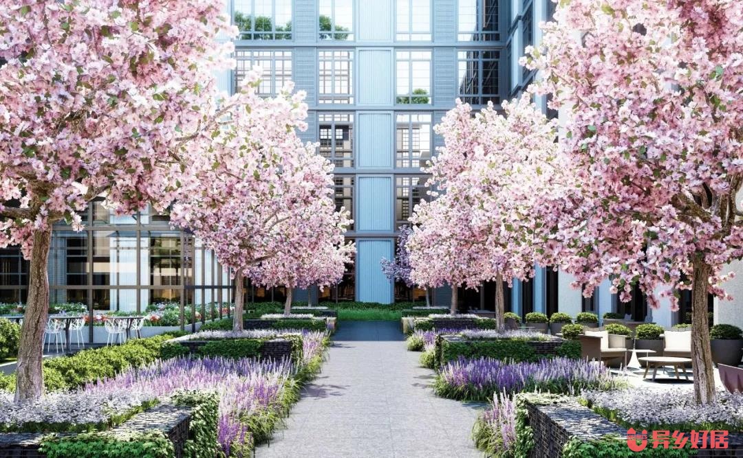 纽约留学和租房哪个好申请,纽约留学租房攻略