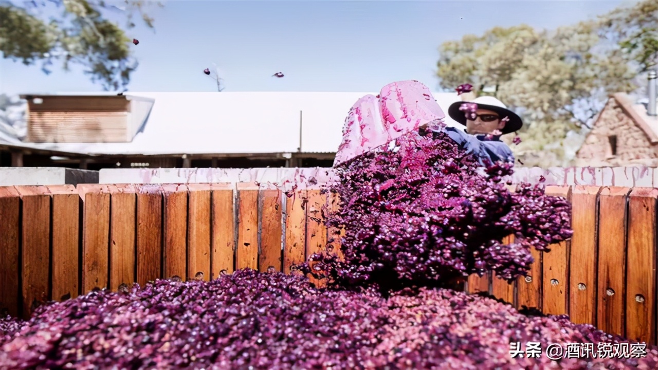 澳洲葡萄酒进口近况,澳洲葡萄酒今年对华出口额下降92%