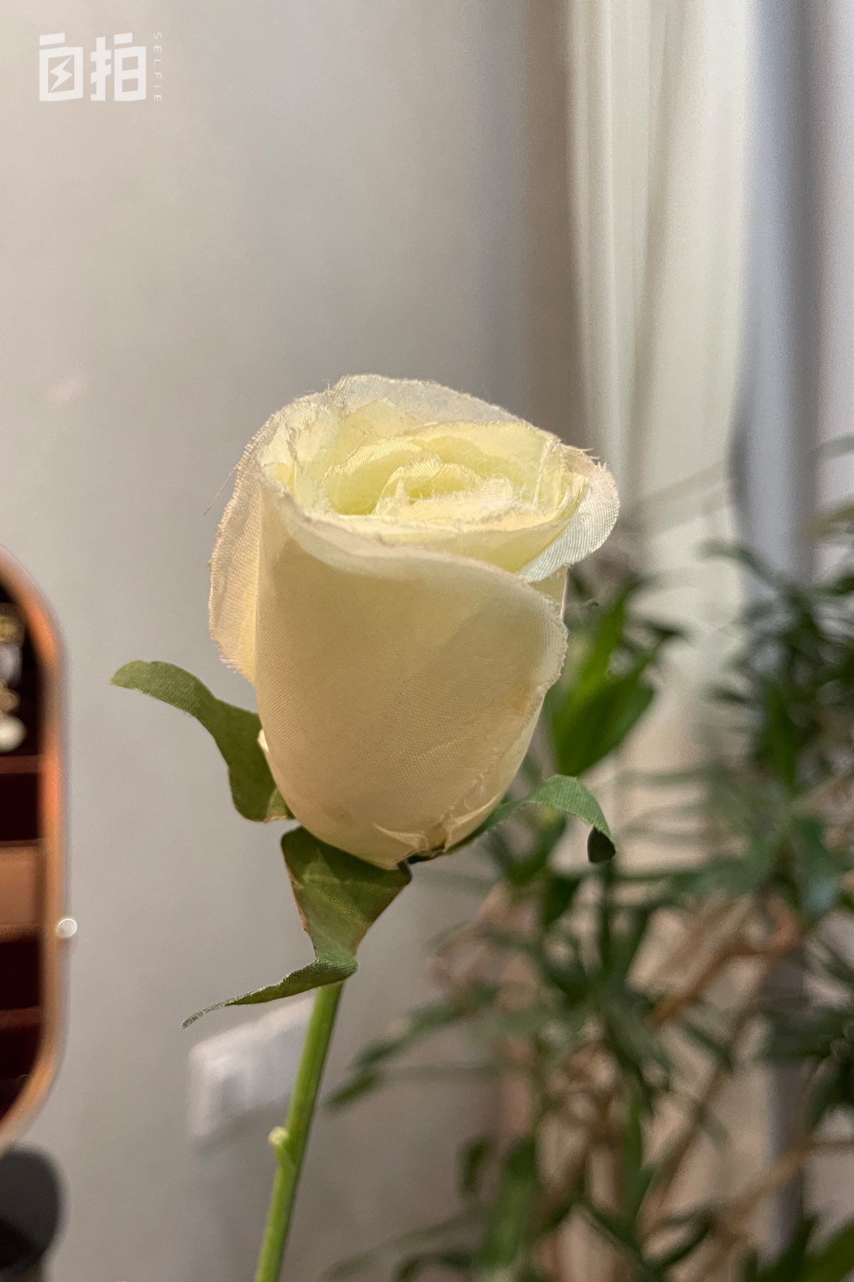 我，俄罗斯人，妈妈借钱供我到中国读书，和大25岁妻子在中国相识