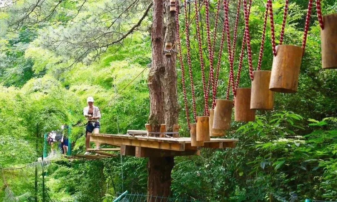 乡村旅游补贴政策解读,发展农村旅游的政策补贴