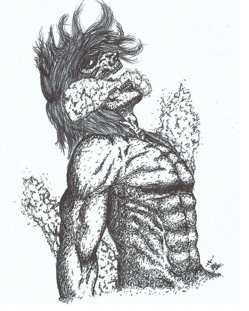 进击的巨人自由之翼是什么颜色的,进击的巨人标志自由之翼动图