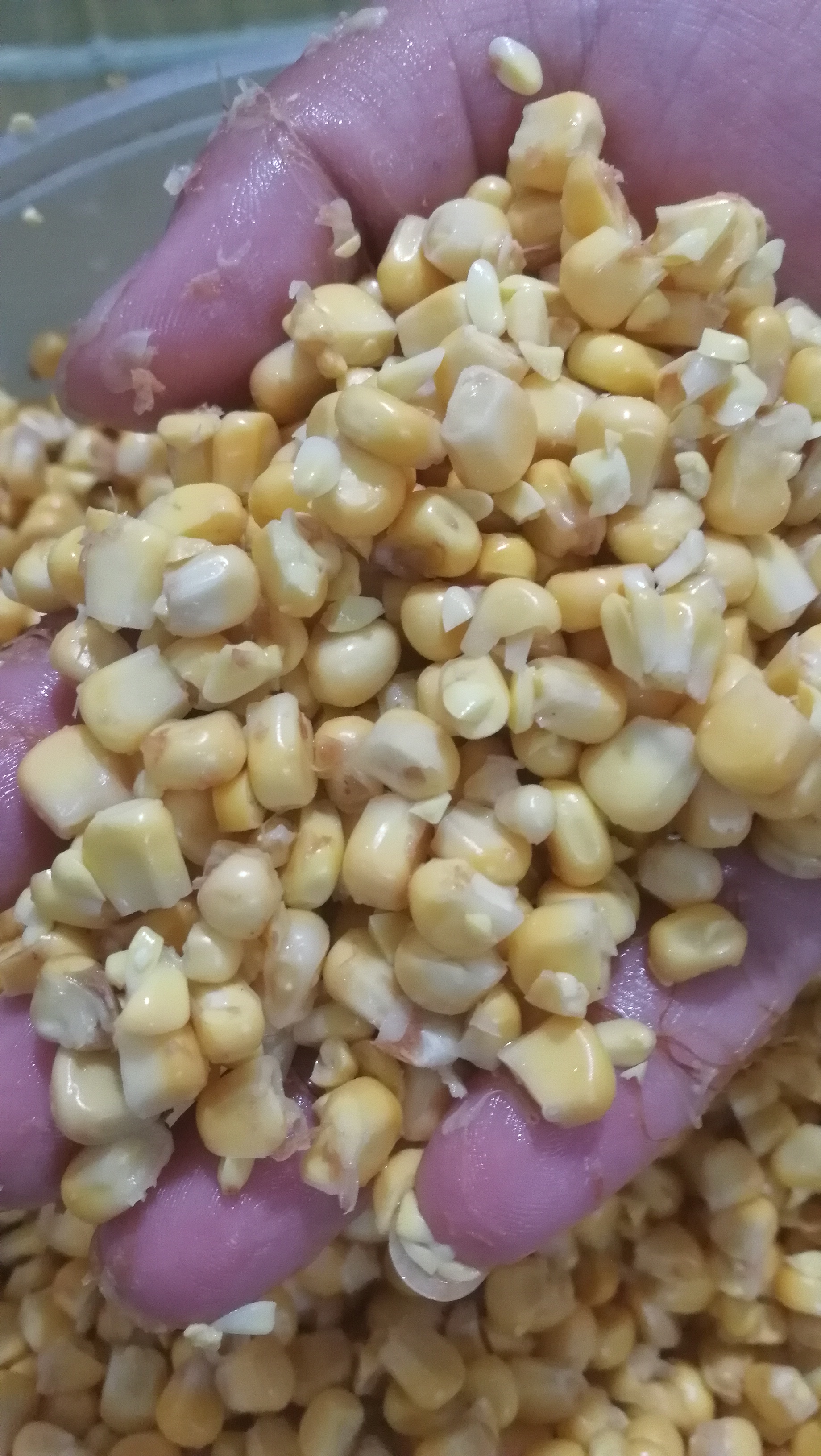 怎么钓肥水鱼,春天钓肥水鱼绝招