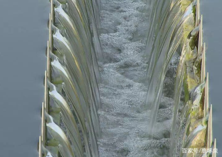 自来水从哪里来最终会流到哪里去,自来水从哪里来到哪里去