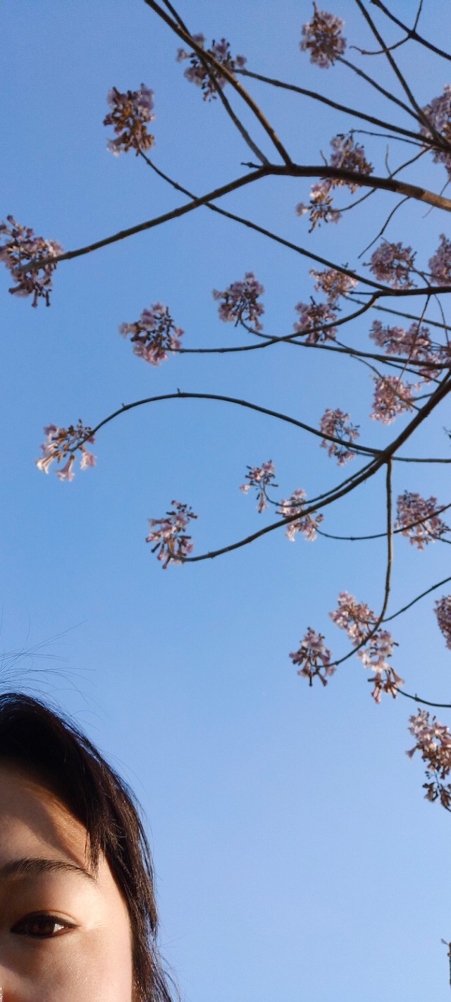 鲍山花园可以游玩的地方,鲍山公园跑步