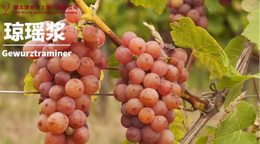 世界葡萄品种最甜十大排名榜,世界十大葡萄酒葡萄品种介绍