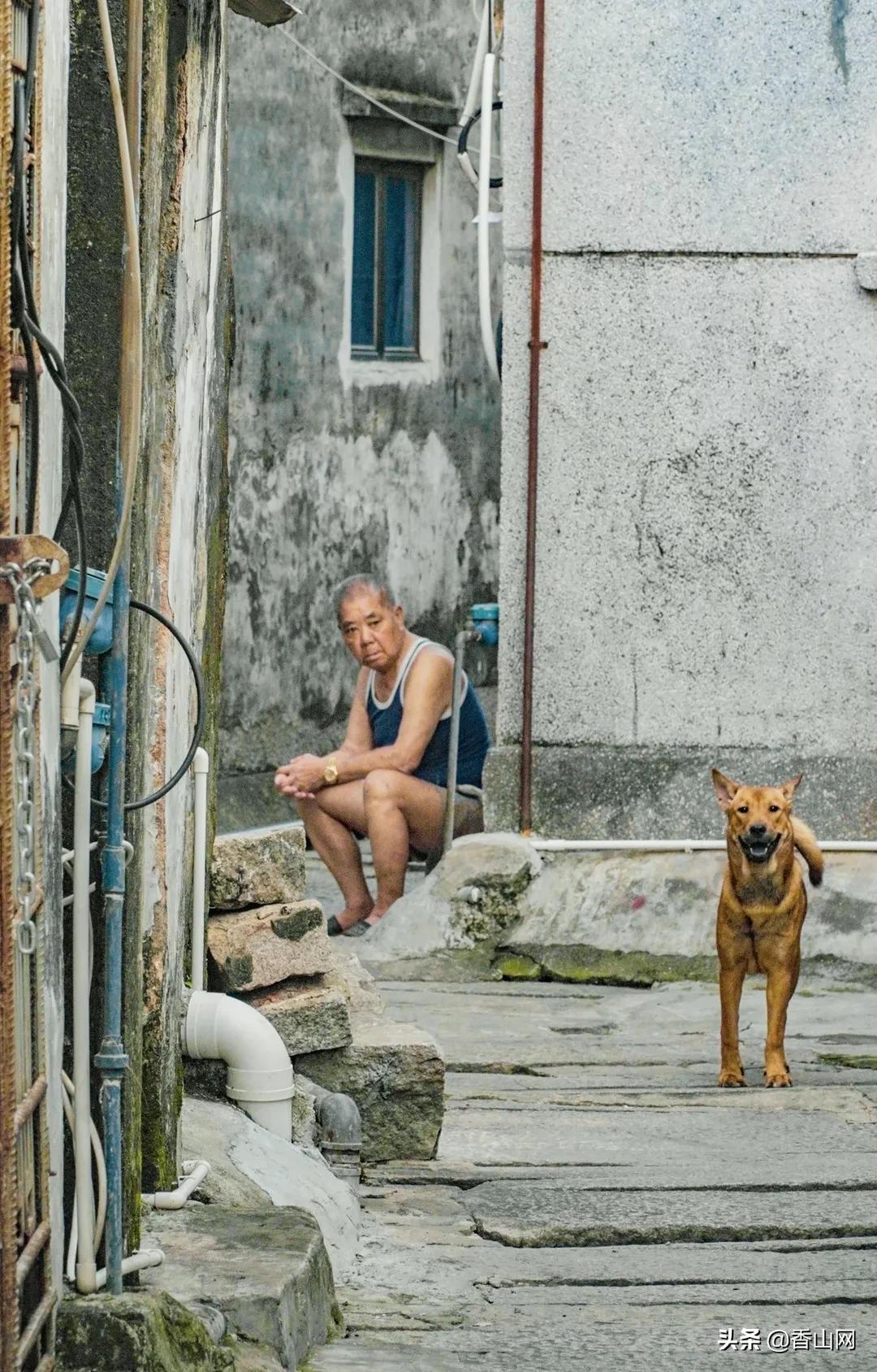 珠海鲜为人知的一面,珠海有名的花园