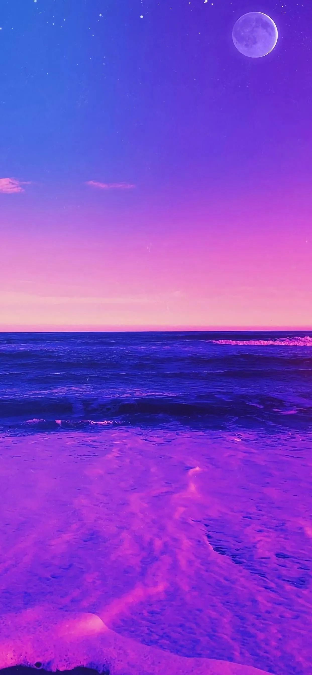 紫色壁纸星空壁纸,紫色菊花风景美图壁纸