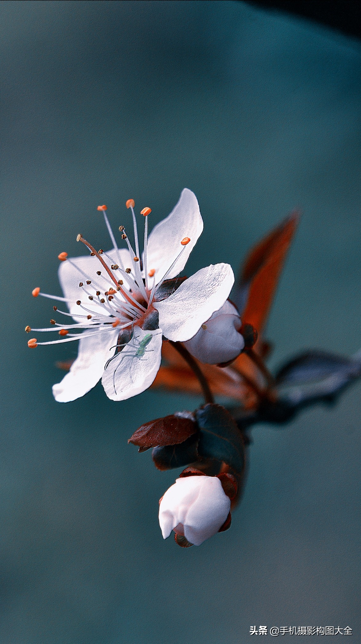 把你的相片做成动态图片,试试你的照片动漫效果