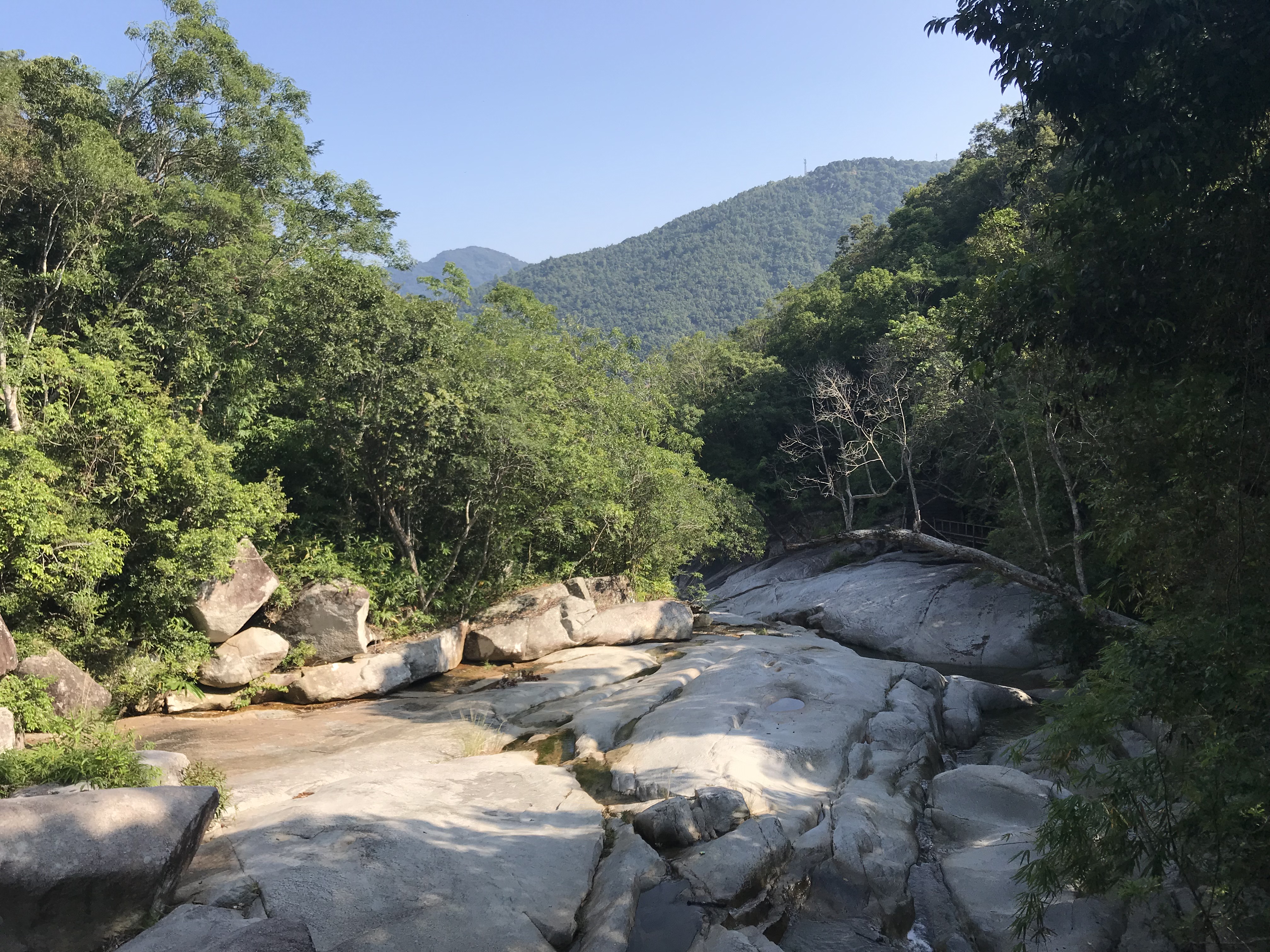 1500年的“母生”藏于此，这里集海南珍稀名木，神奇霸王岭