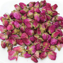 玫瑰花简介怎么写,玫瑰花简介英文版