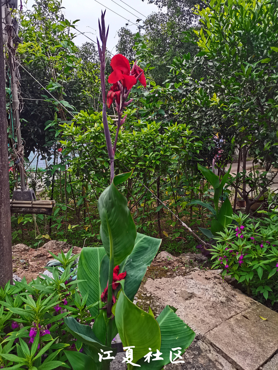 江夏的土地堂未来有发展么,江夏区土地堂由来