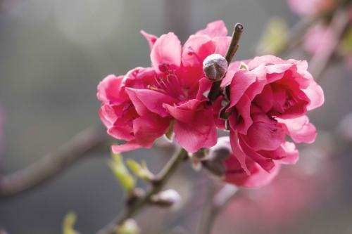 票据的基础知识,什么是瑕疵票据
