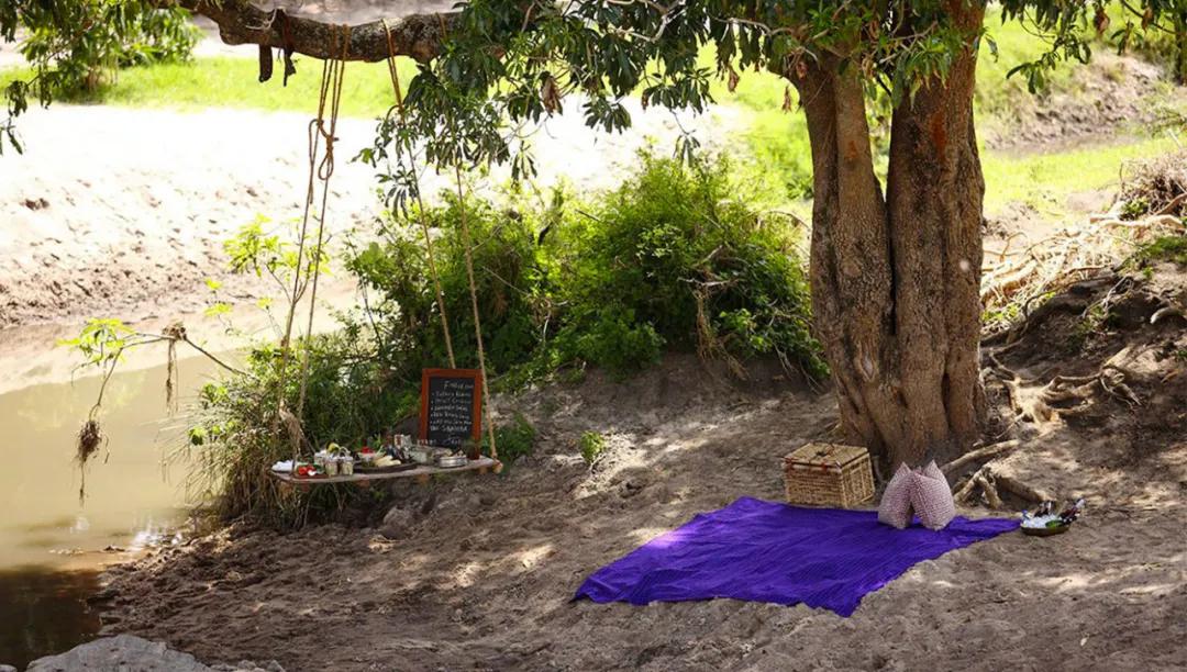 世间稀有的白色长颈鹿母子，在非洲被残忍猎杀，发现时只剩骨骼