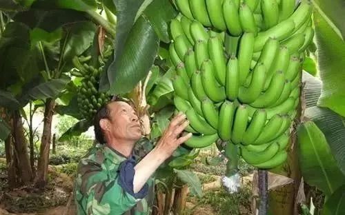 盘点十大新疆的特产,疆藏特产