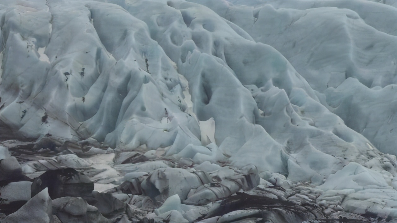 北极再现史前生物,南极爆发新冠疫情,大自然正悄悄惩罚人类