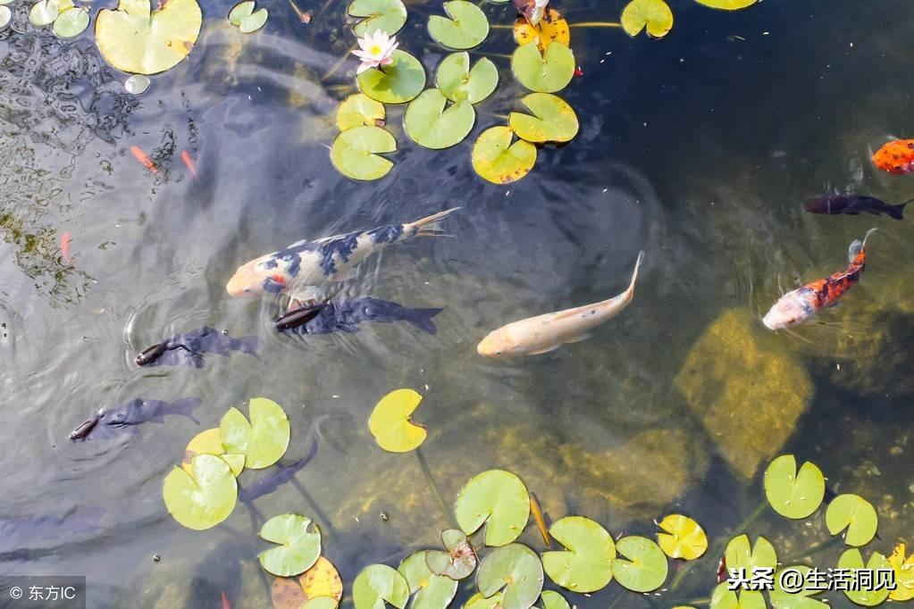 转运时真的可以转运吗,转运当天最好做些什么