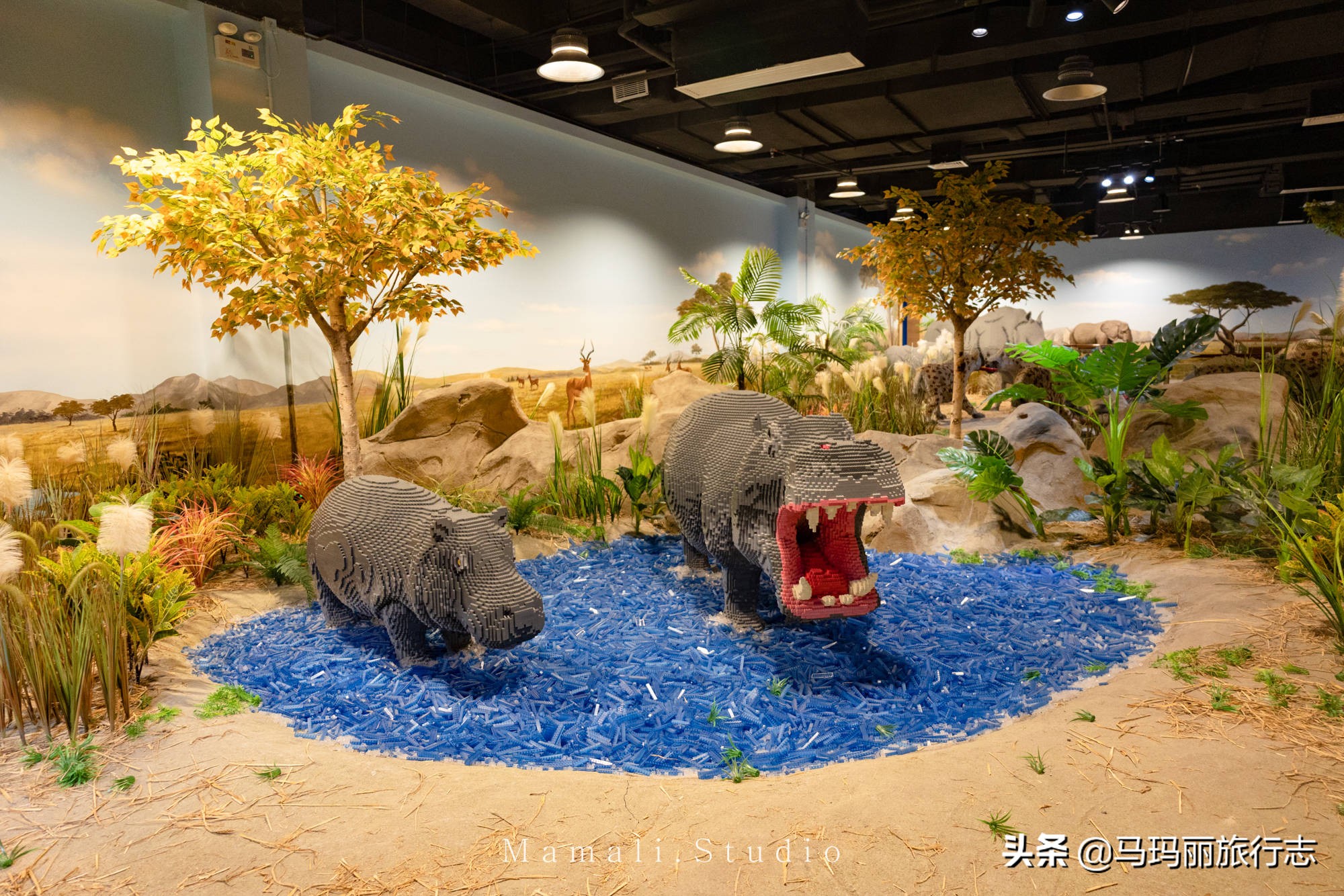 深圳遛娃50个必去的主题公园,深圳儿童游乐园排名榜旅游攻略