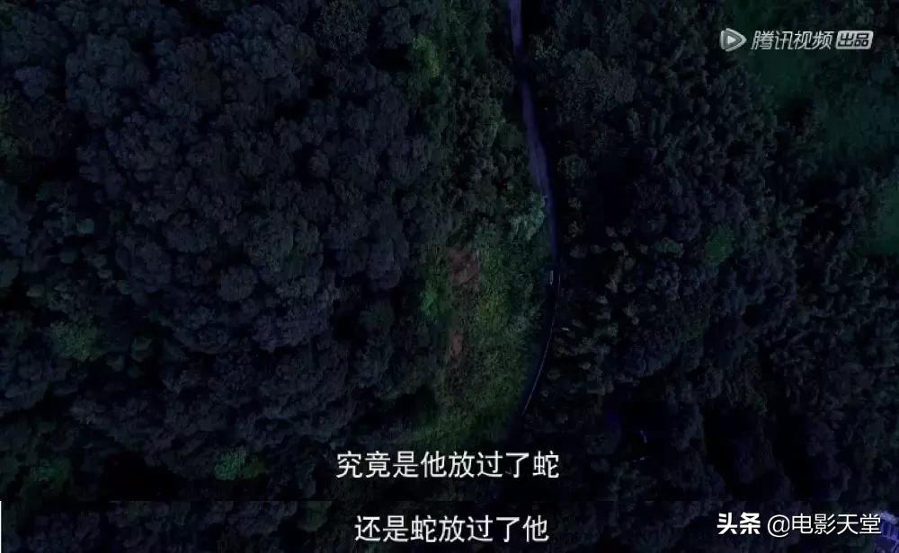 购买毒宠成瘾，甚至为此险些丧命，这是什么奇葩欲望？