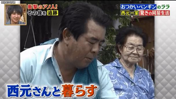 去世的企鹅复活,死去的企鹅