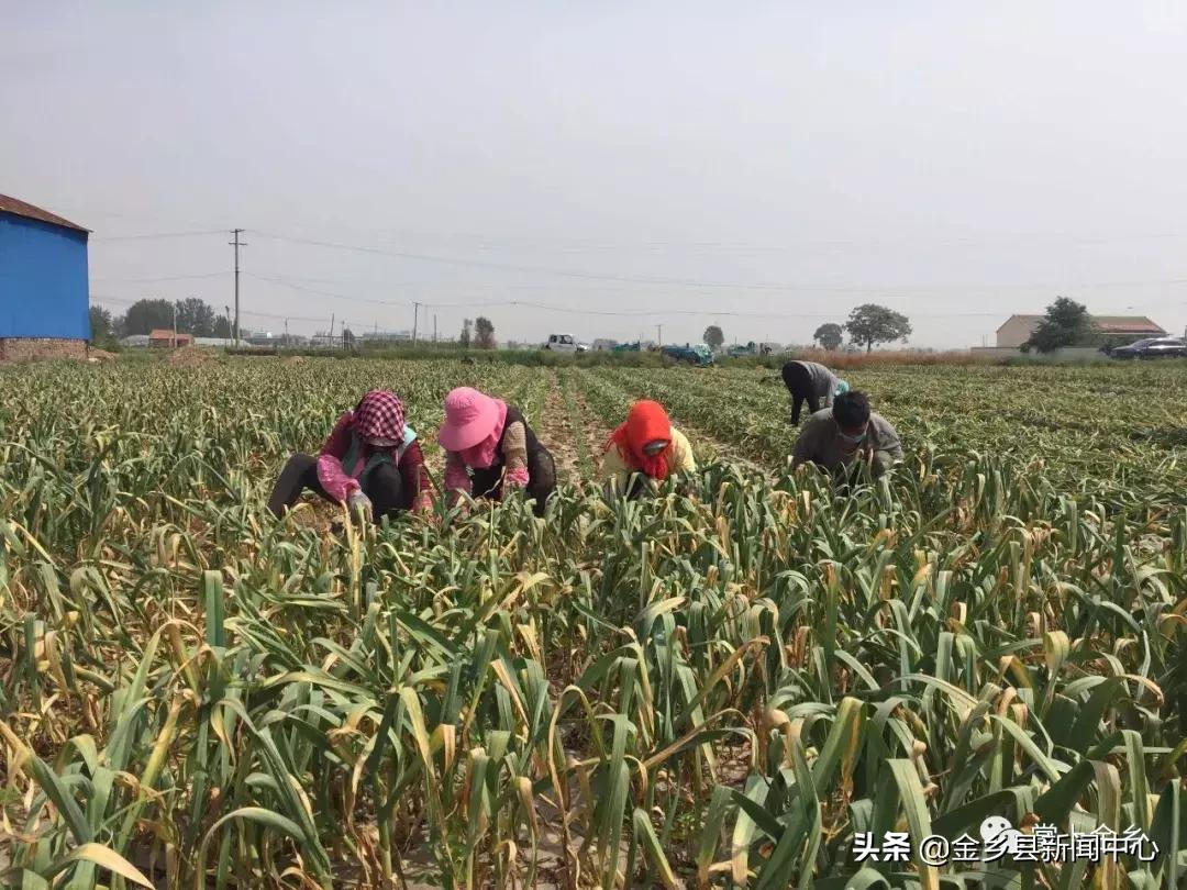 红五月邀请函,红色主题邀请函