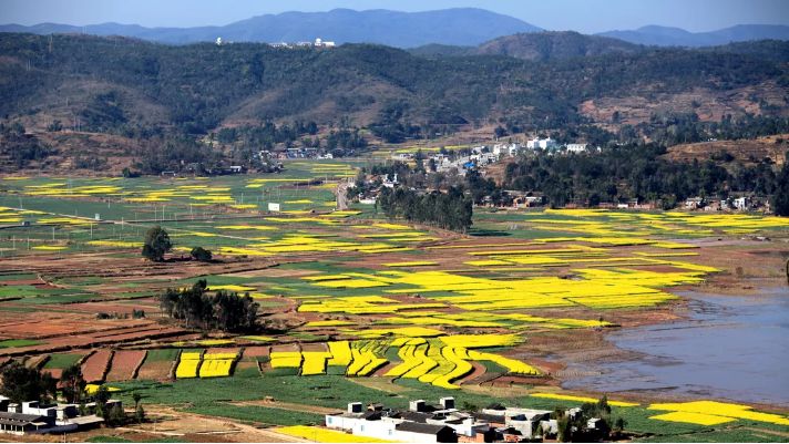 楚雄青山湖旅游度假区建设项目,楚雄州牟定庆丰湖旅游开发项目