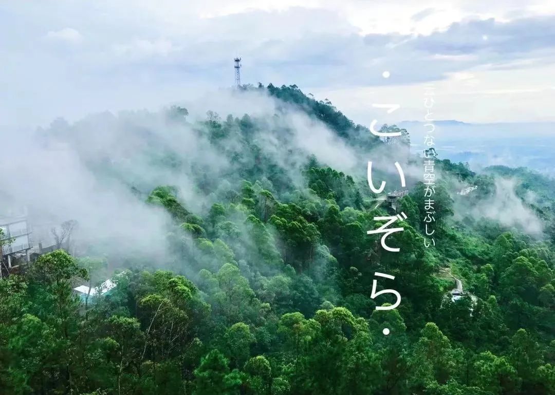 吴彦祖拍的劲爆电影,吴彦祖最新片