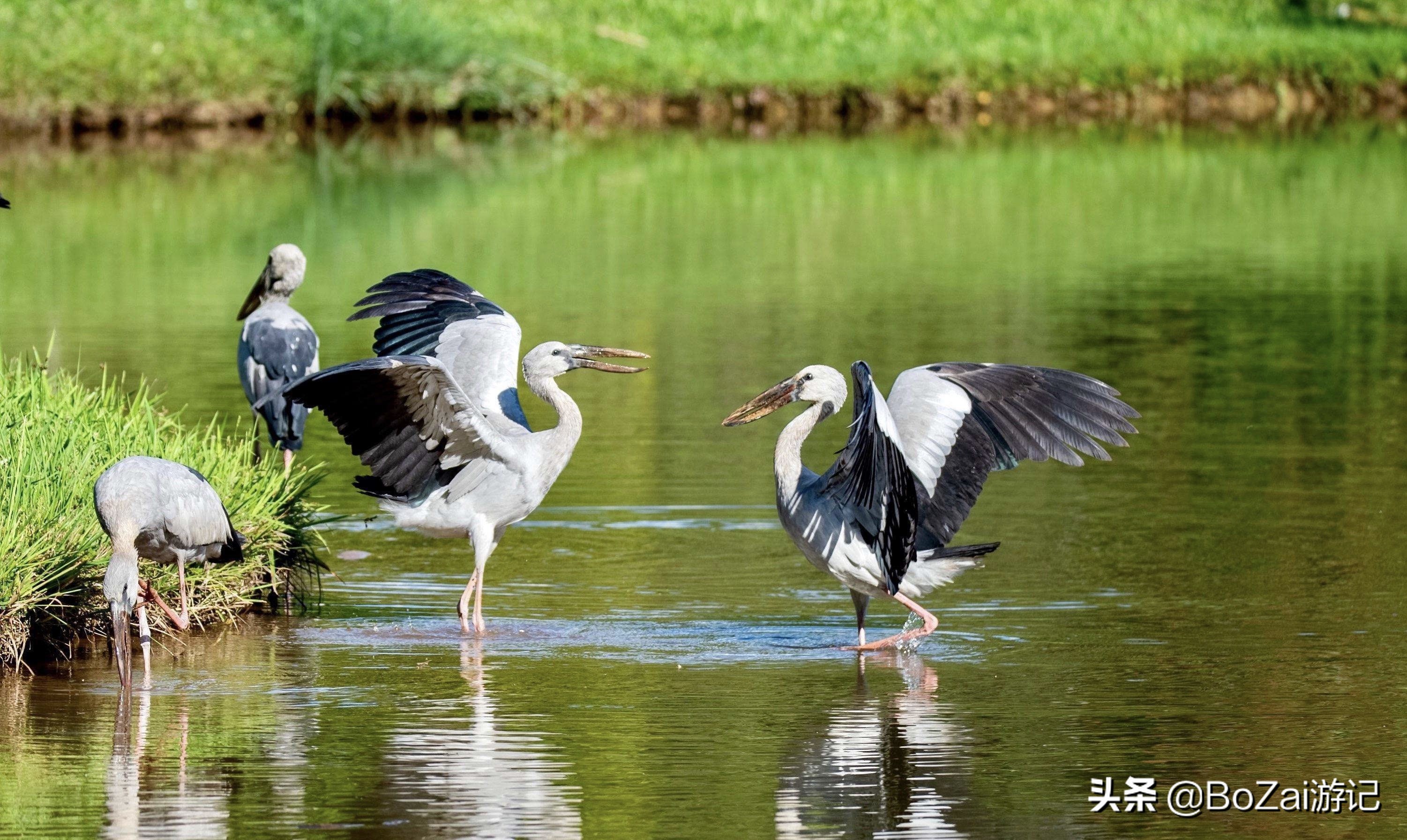 云南旅游攻略最佳线路洱海,到云南旅游必去景点推荐