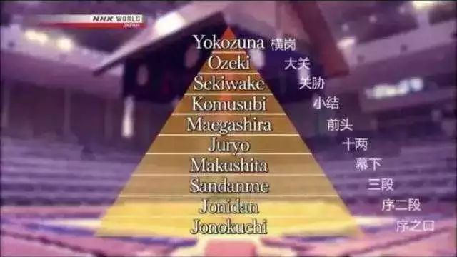 为什么日本人喜欢看两个胖胖“打架”？