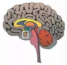 疫情期间为什么感到发热,疫情发烧浑身发冷怎么样解决