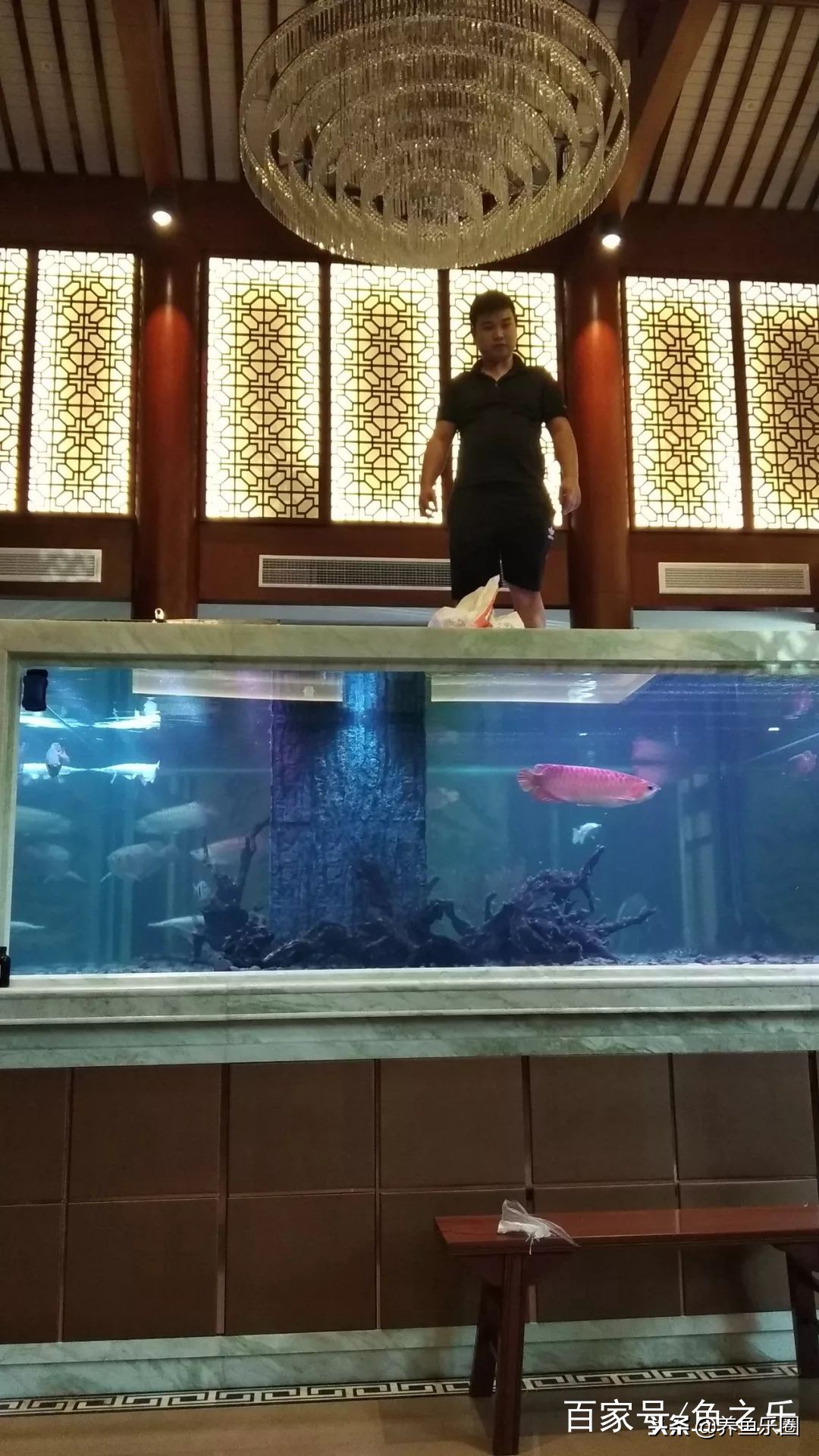 这位土豪家的渔场，光滤材就花了500多万，你确定不要见识一下？