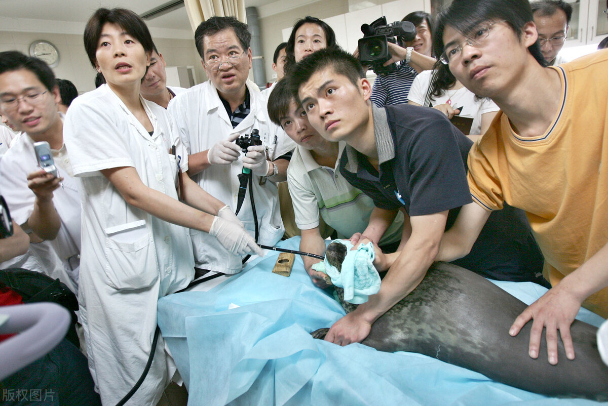 彭书青:名医王康民