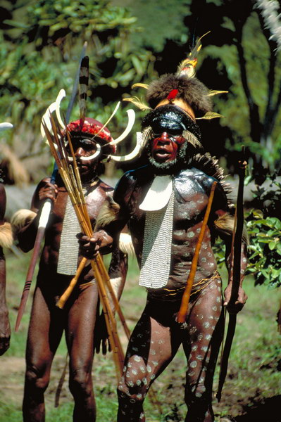 亚马逊丛林有什么危险的东西,亚马逊丛林究竟多可怕