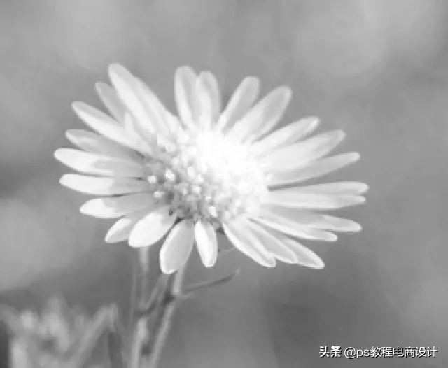 快速抠图ps人物头发,2021版ps快速抠图