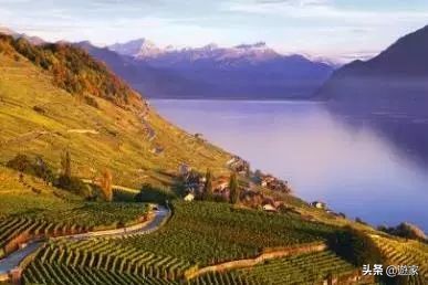 瑞士人竟然这么爱喝,拥有是世界遗产的葡萄园,作业还在靠手工