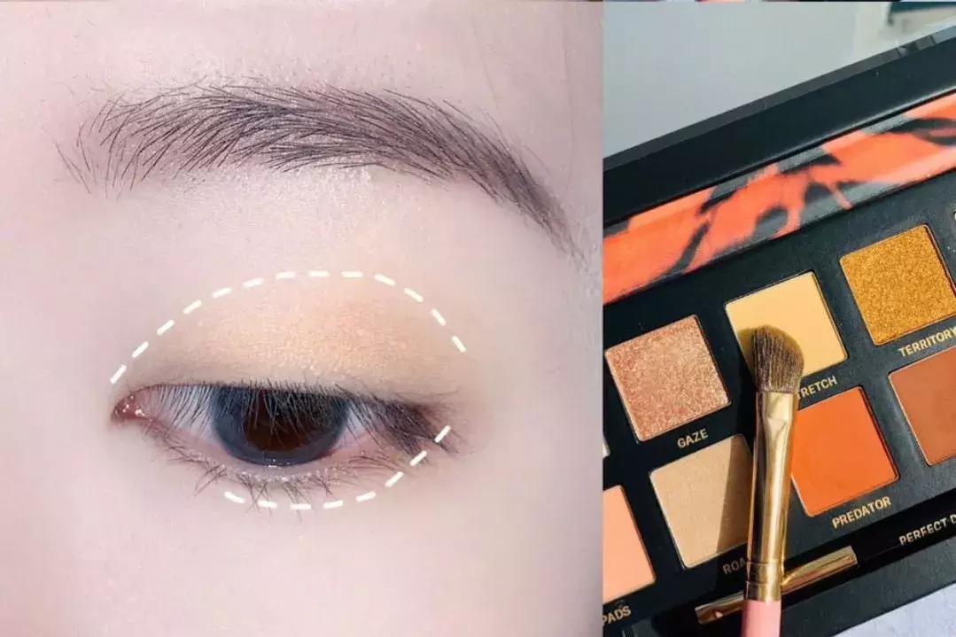 眼影怎么画新手教程,单眼皮怎样画眼影好看