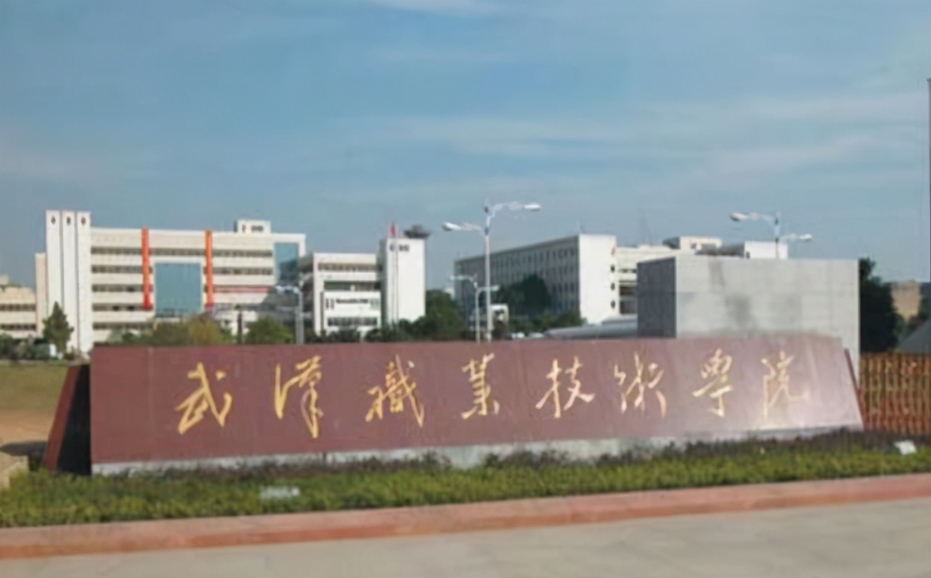 被华为录取的专业,被华为录取最多的高校