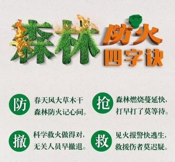 启明幼儿园清明节放假通知,清明幼儿园保健温馨提示