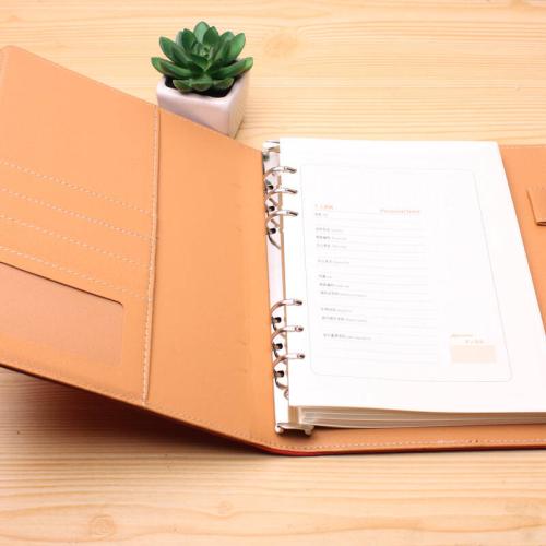 教学计划模板小学语文,小学语文二年级下册教学计划