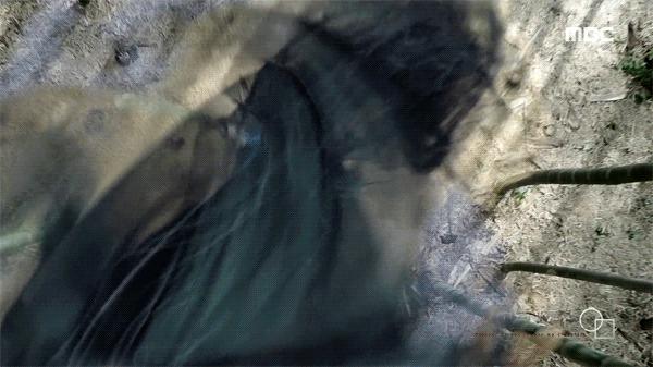 耳听爱情歌曲,耳听爱情铃声