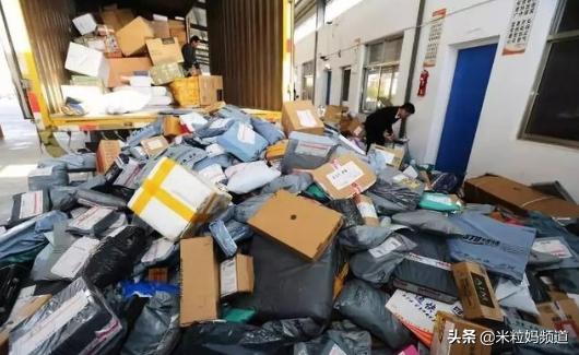 全国人民看江浙沪,上海垃圾分类现在怎样了