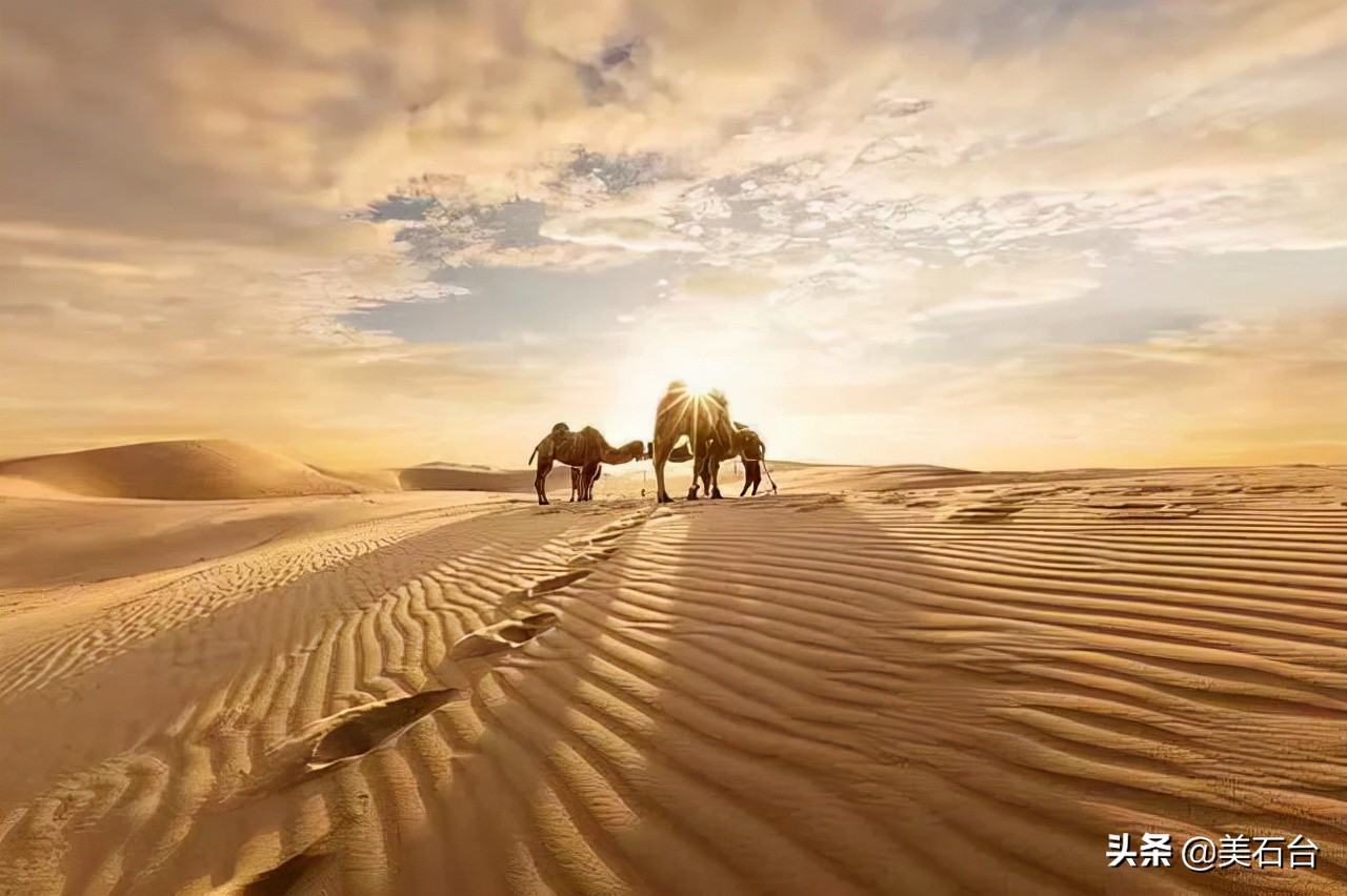 这块石头的形状像猴子是比喻句吗,这块像马云的奇石在你心里值多少