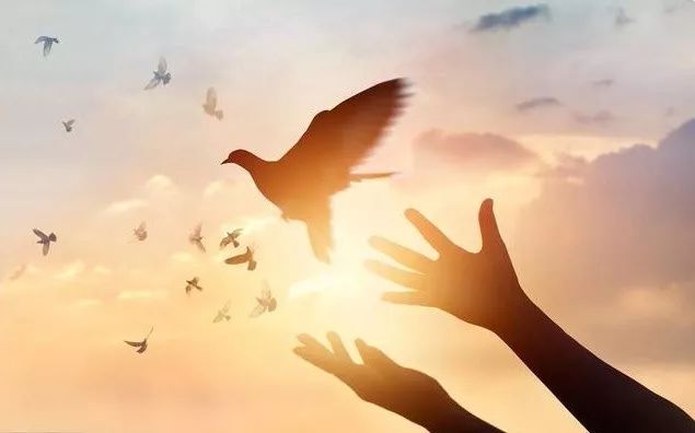 与癌症患者共处需要注意什么,与癌症和平共处十大要诀