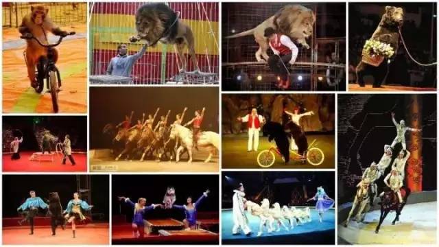 「欧蓓莎跨年巨献」醉美油纸伞、马戏团表演、环球美食节应有尽有